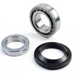 Nissan Rear Axle Bearing Inner Spacer Oil Seal Set Czomoizc-0